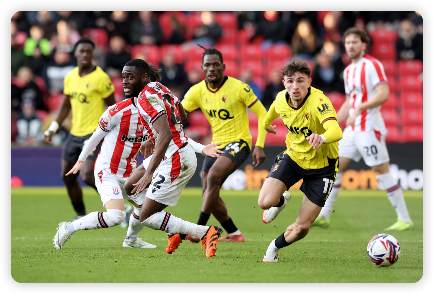 The Hallgrimsson Pedigree: Why This Appointment Makes Sense