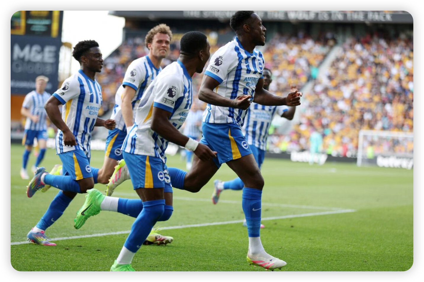 Seagulls Soar Into Top Half With Tactical Masterclass